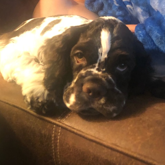 Meet your Posher, Michelle - Picture 1 of 1